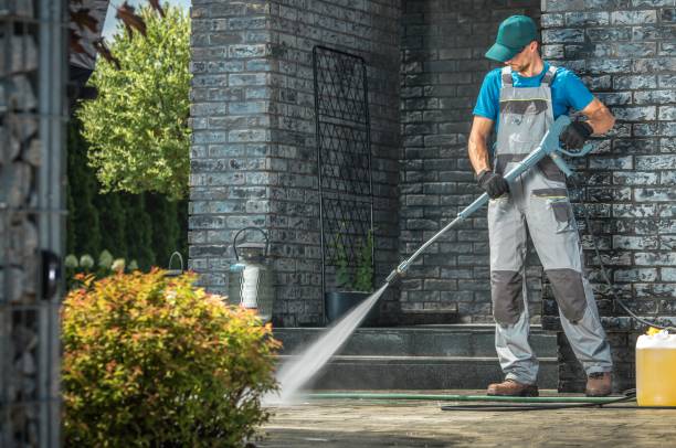 Pre-Holiday Cleaning in Bushnell, IL